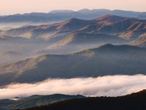 The Ultimate Guide to Great Smoky Mountains National Park Animals fi