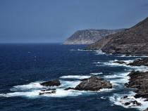 7 Reasons to Add Asinara to Your Sardinia Itinerary