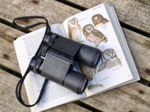 Birdwatching And Why You'll Love It