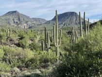 Trip Report: Arizona’s Civana Wellness Resort & Spa