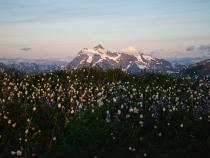 Seattle Fall Hiking Trails: A Walk To Remember