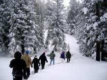 No Skiing, No Problem: 3 Spots for Snowshoeing Around Portland