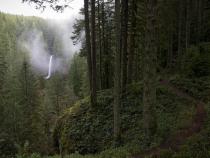 3 Reasons to Visit Silver Falls State Park in Winter