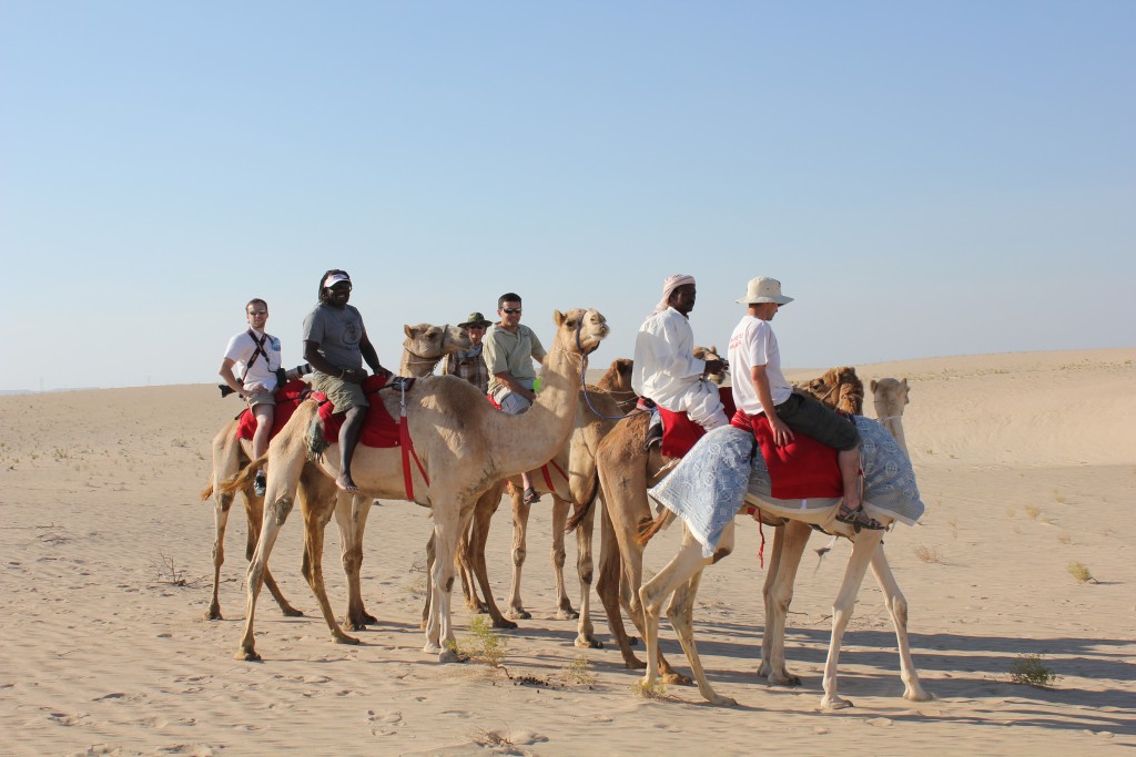 Hunting from camels