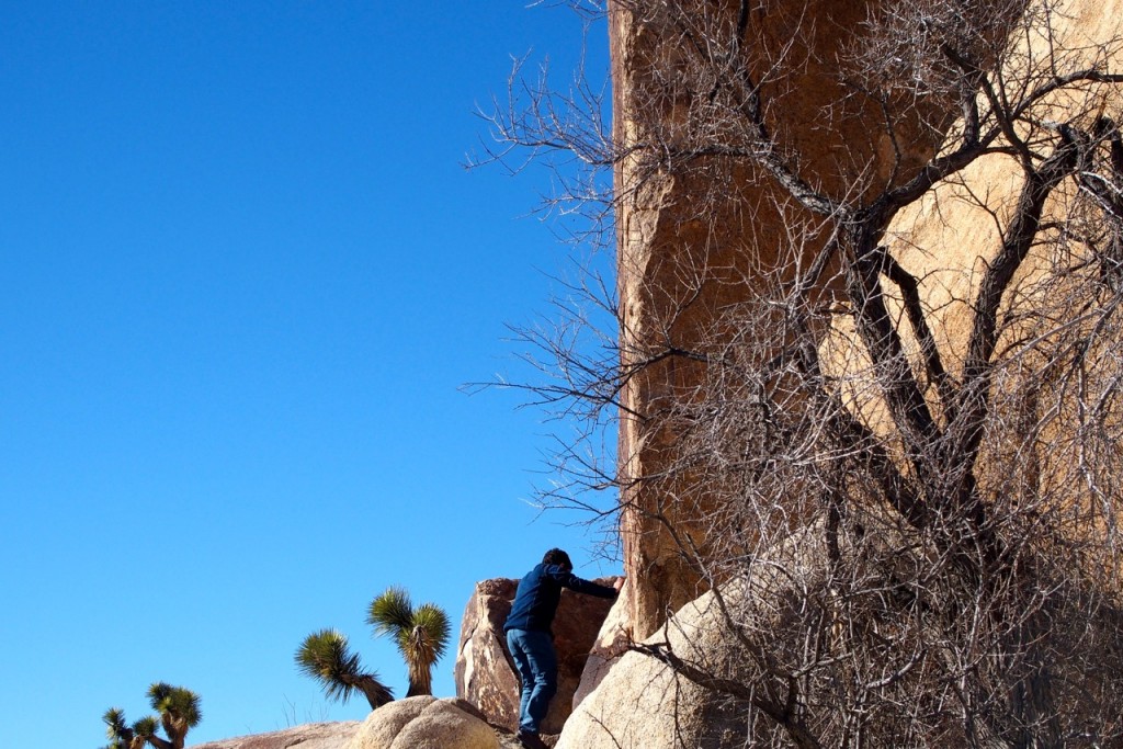Mental game is super important in Joshua Tree, where highballs reign