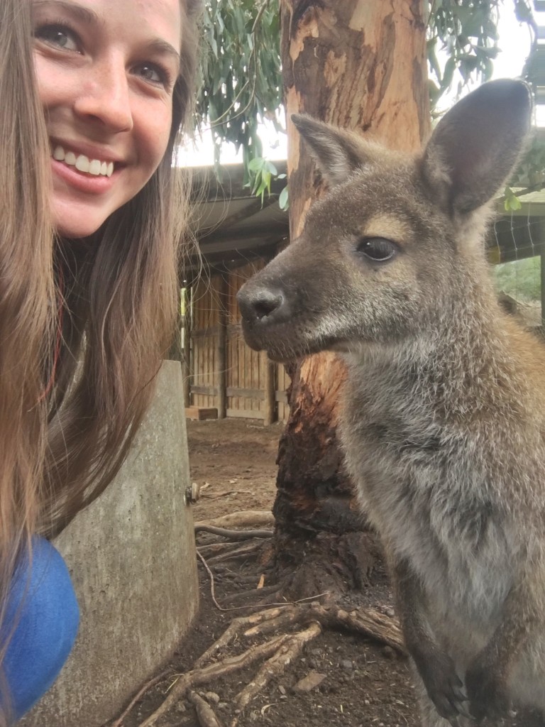 Nicole_Wallaby