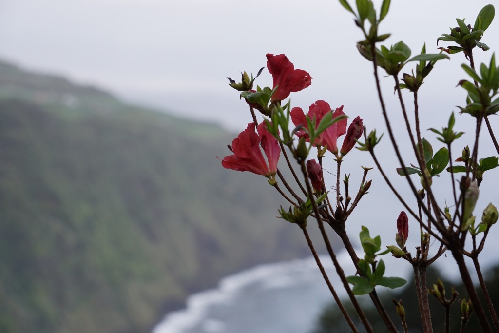 Azores_Islands_Coastline