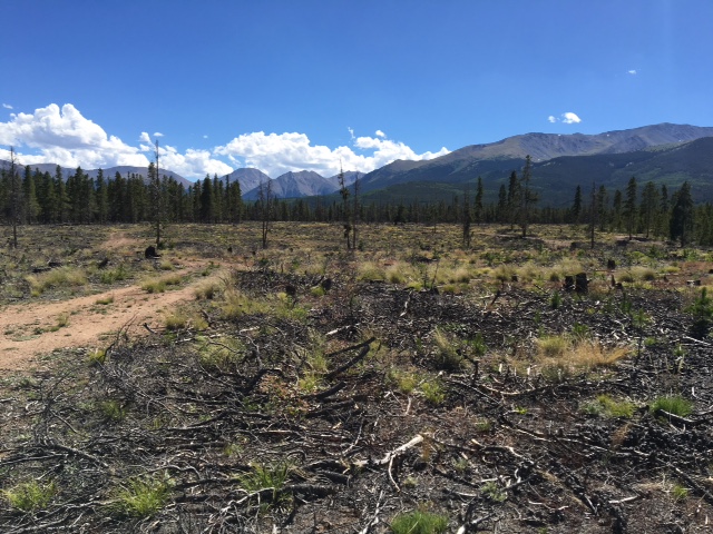 LeadvilleMTB_4