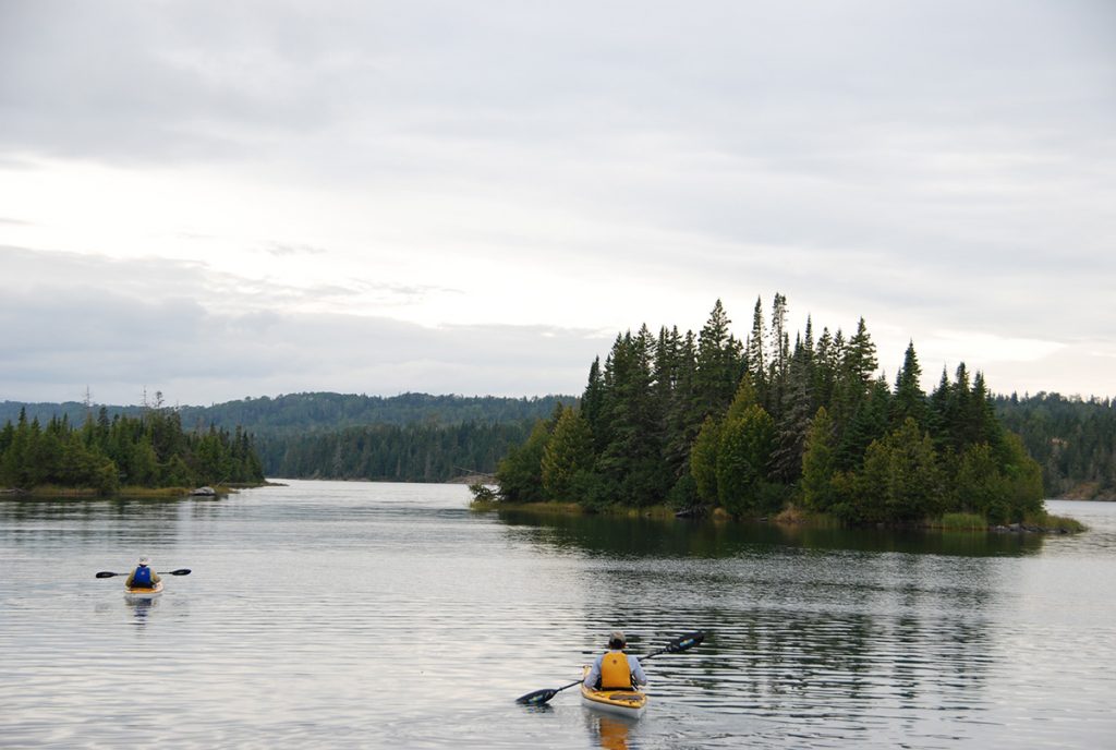 kayakers on water near isle with trees