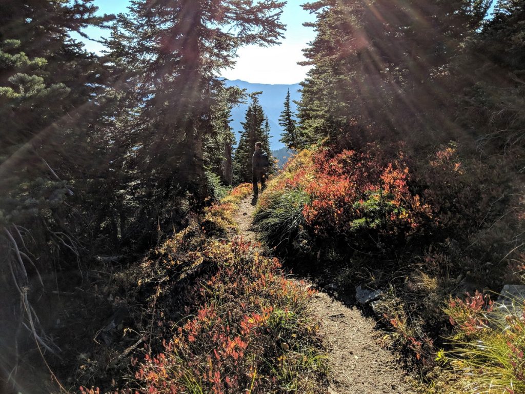 BearheadMountain Trail