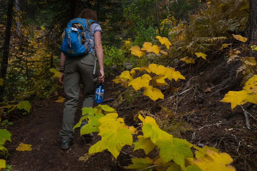 A woman in women's hiking pants and with a backpack walking up a forest trail, yellow leaves on the right.