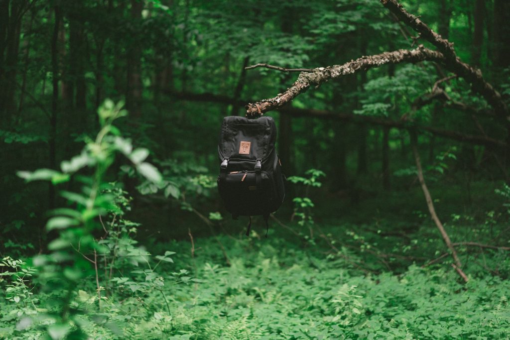 A black backpack hanging from a branch in a forest.