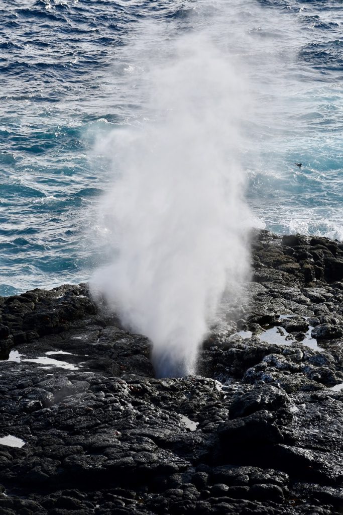 SBornstein Galapagos BlowHole EspanolaIsland SBornstein Galapagos BlowHole EspanolaIsland