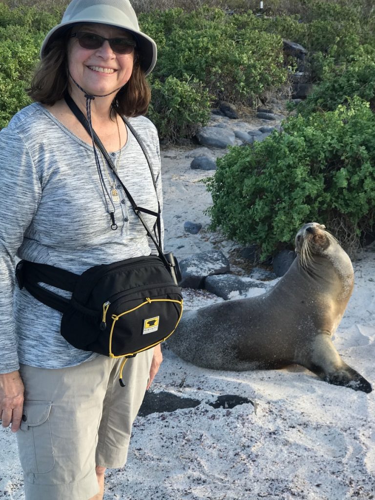 SBornstein Galapagos SeaLion EspanolaIsland SBornstein Galapagos SeaLion EspanolaIsland