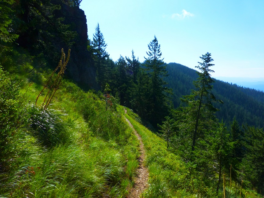 Scotchman Peaks Proposed Wilderness - Shoshone Ridge Trail, Idaho