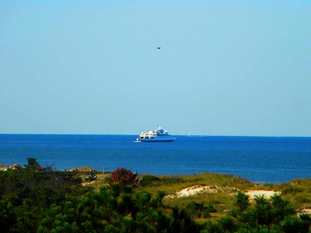 North American Wildlife Viewing Adventures 1 Cape May - Lewis Ferry leaving for Cape May NJ - Photo by Lee Canon