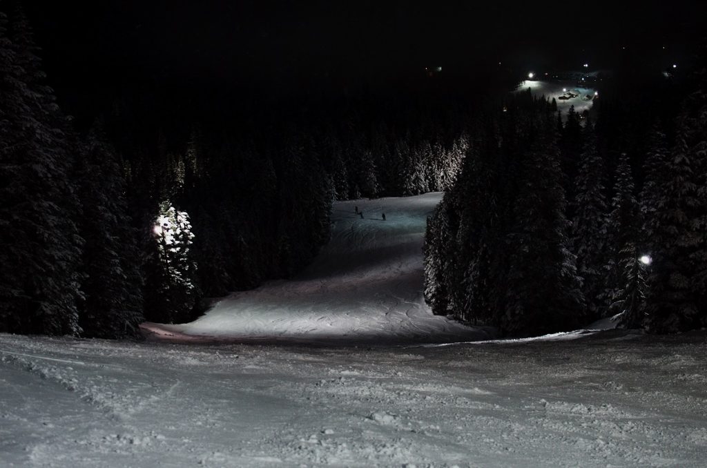 snowy tracks in the night surrounded by pine trees