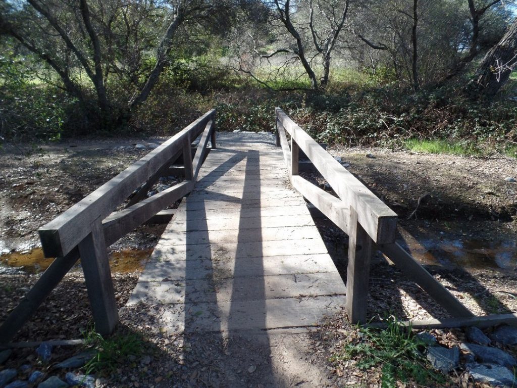 wooden bridge over a small stream