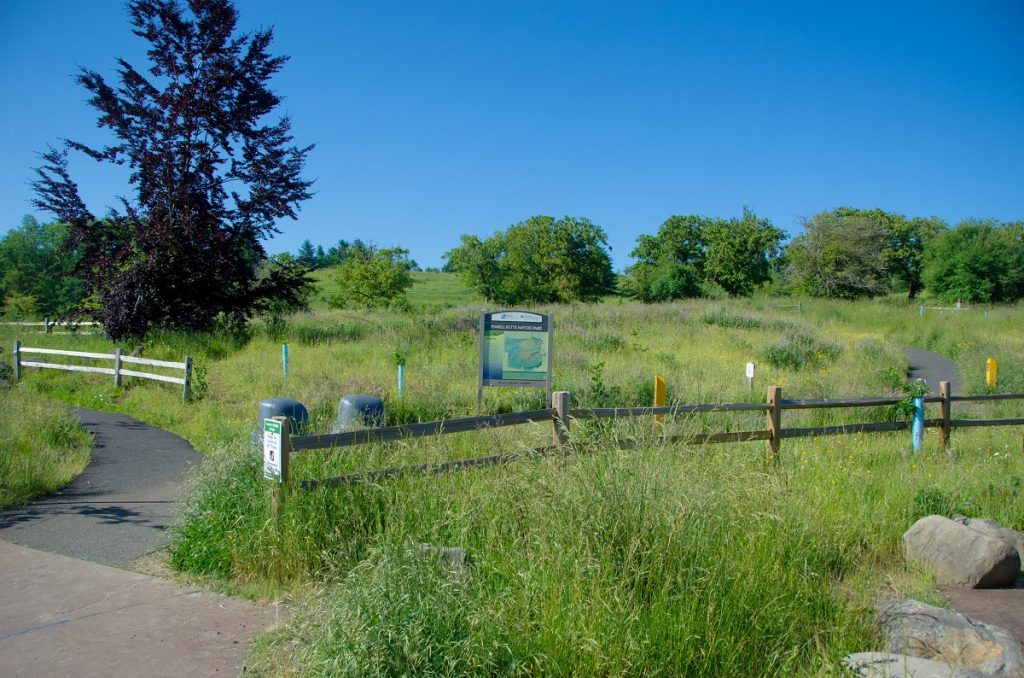 green field with map board during daytime