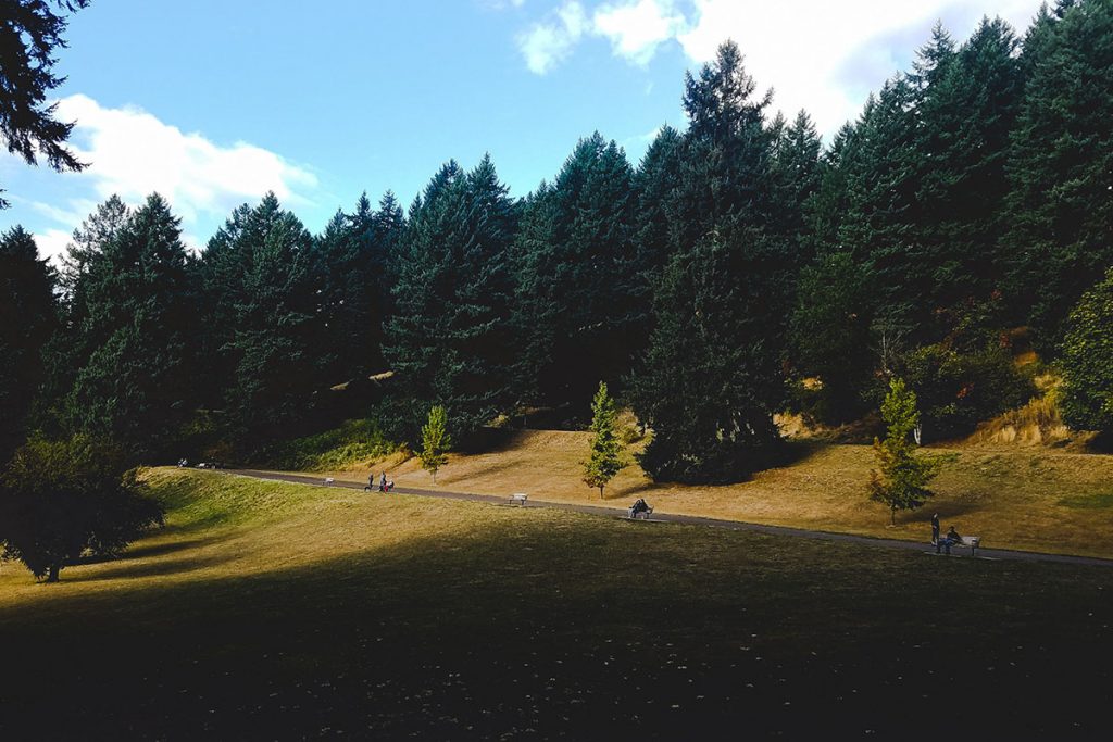 gray asphalt road in between trees during daytime