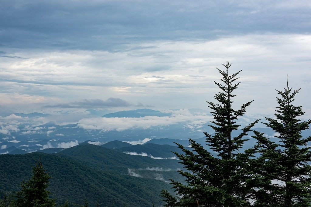 two pine trees in front of gray mountains with white clouds
