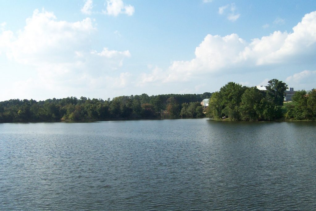 body of water surrounded by green trees