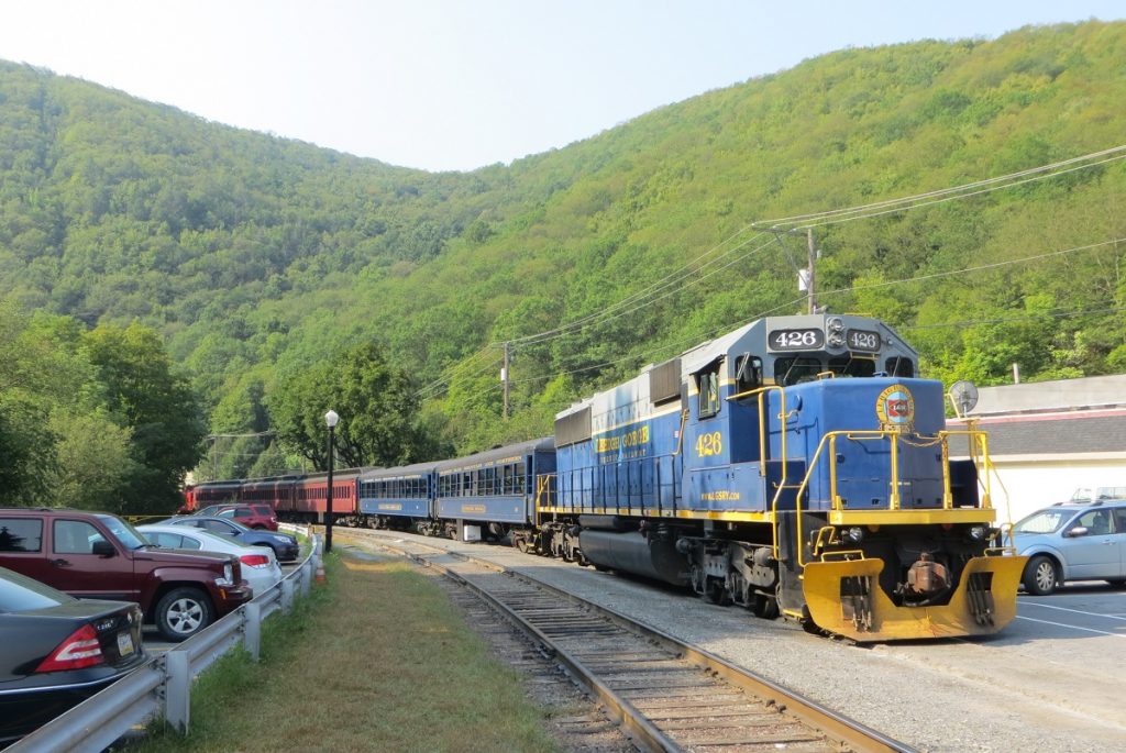 blue and yellow train on railroad surrounded by green trees