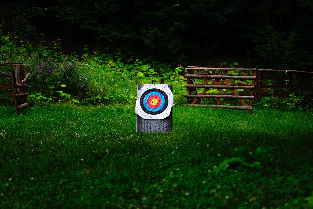 white and multicolored archery target on green field
