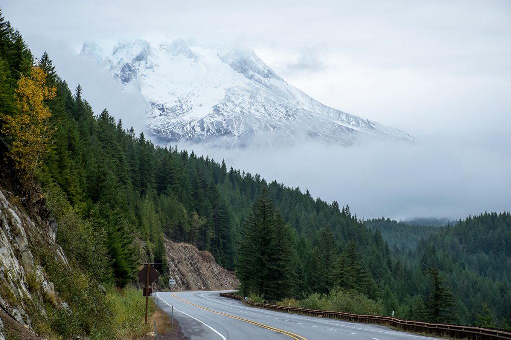 snowy mount hood rising above the road and trees
