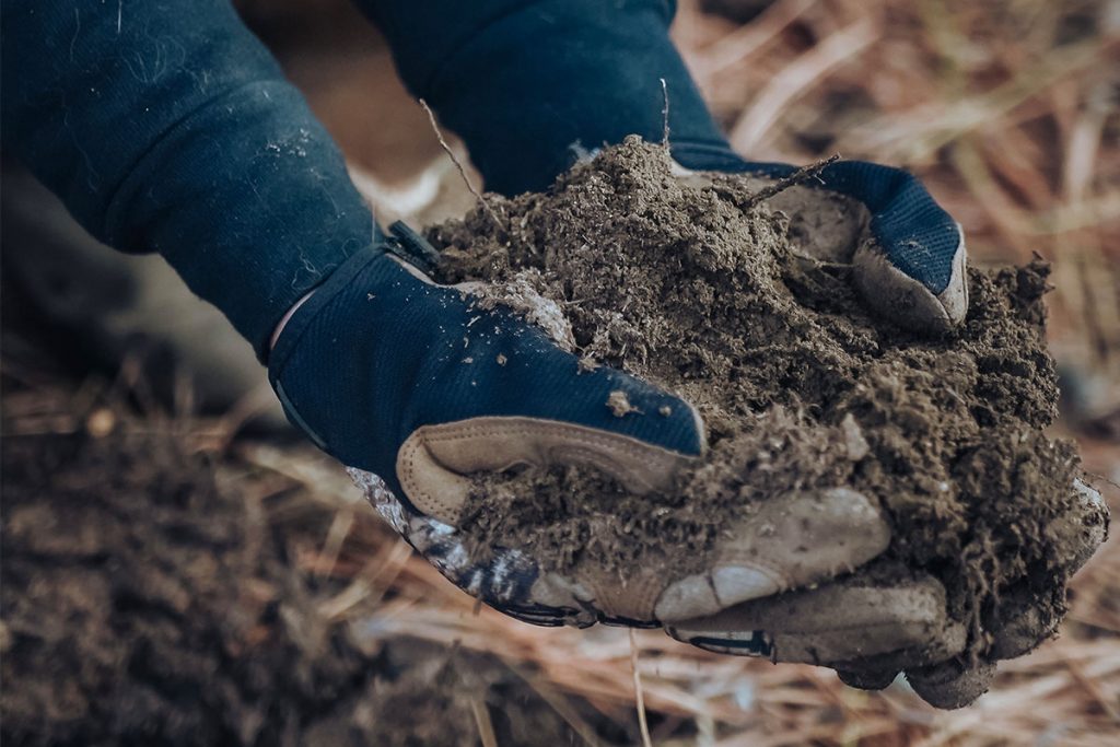 hands holding mud in working gloves
