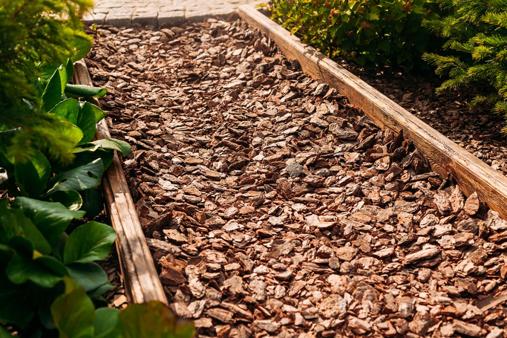 wood chips pathway