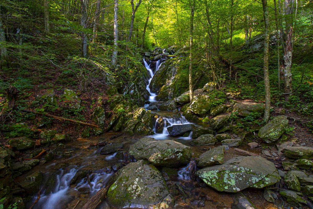 Milky waterfall scenery in the mountain forest 