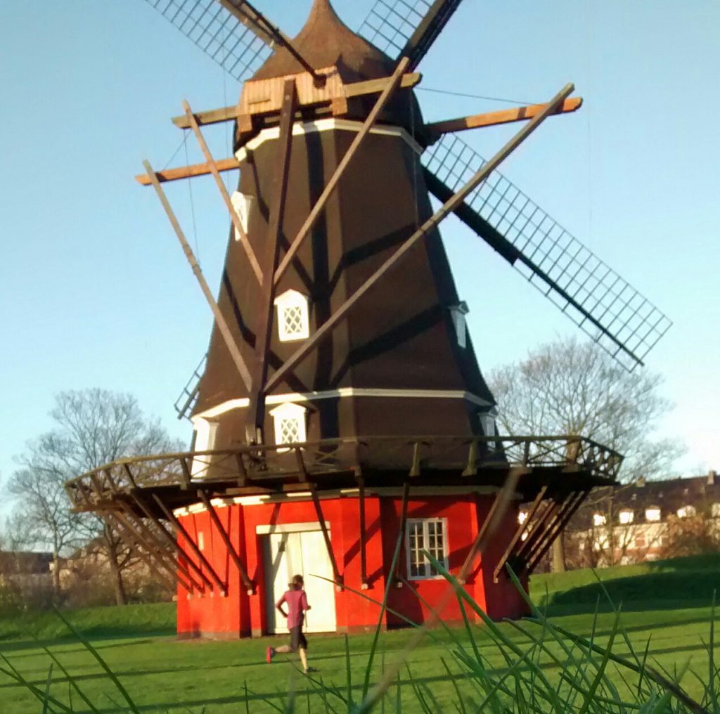 Copenhagen_Windmill_Kestrel