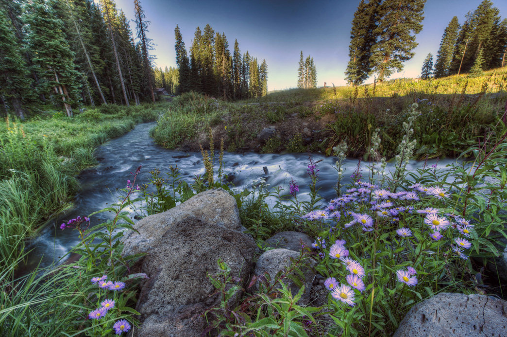 A Guide To Grand Mesa The Largest Flat Topped Mountain In The World 