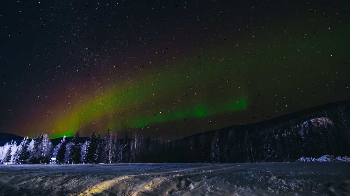 green aurora borealis over forest during nighttime