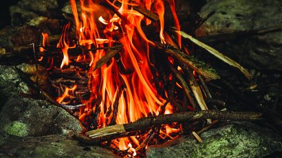 close-up photography of lit campfire