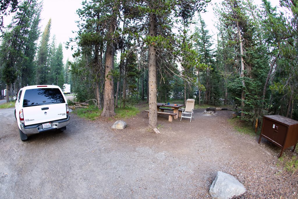 white car on campground in forest