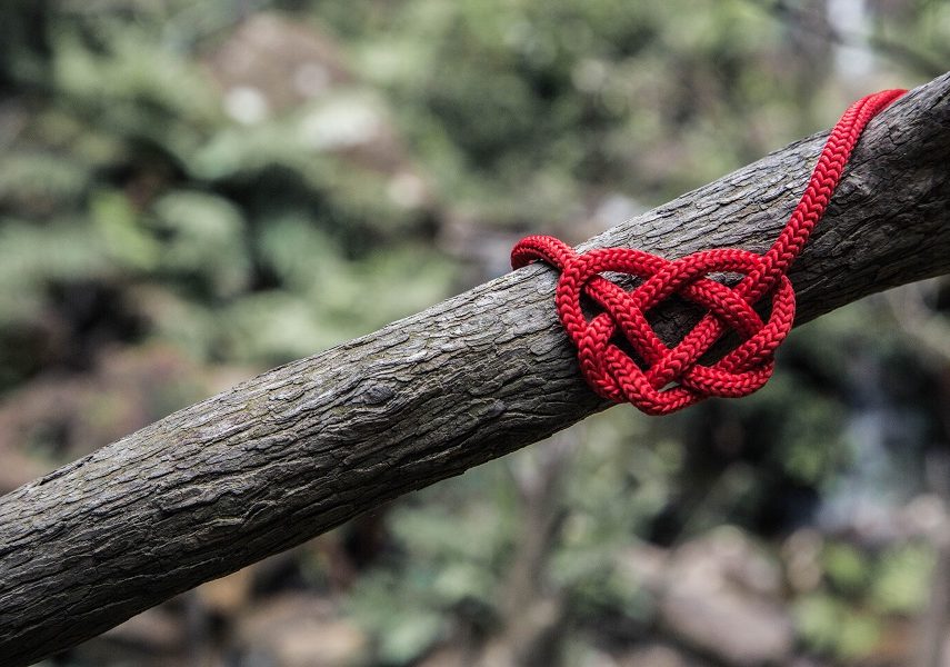 Knot by Will O unsplash