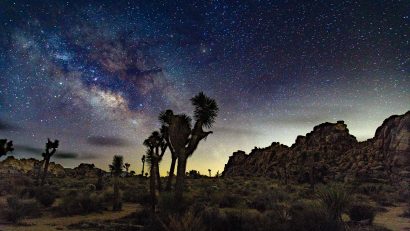 trees in desert under starry sky