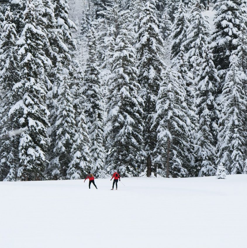 two people in red clothes standing on snowy ground with pine trees in background