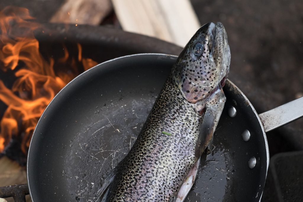 fish on black frying pan over campfire