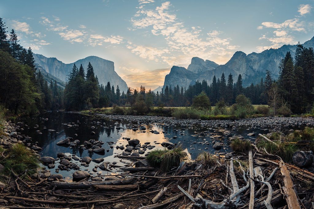 branches and rocks at lake in Yosemite National Park