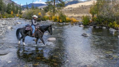 woman riding horse in the river