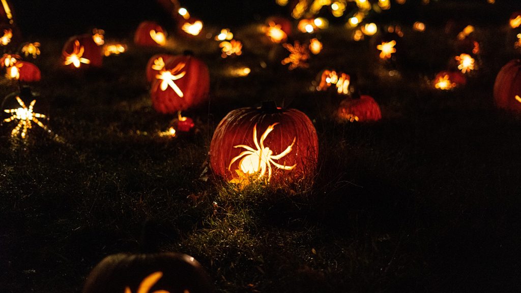 yellow spider decors during nighttime