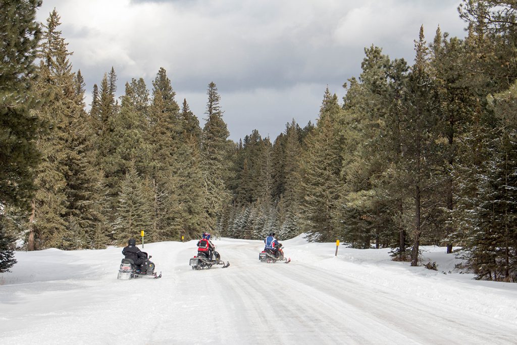 three snowmobilers on snowy road in woods