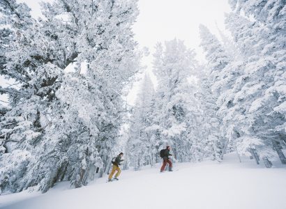 two men in KUHL clothing skiing in snowy forest