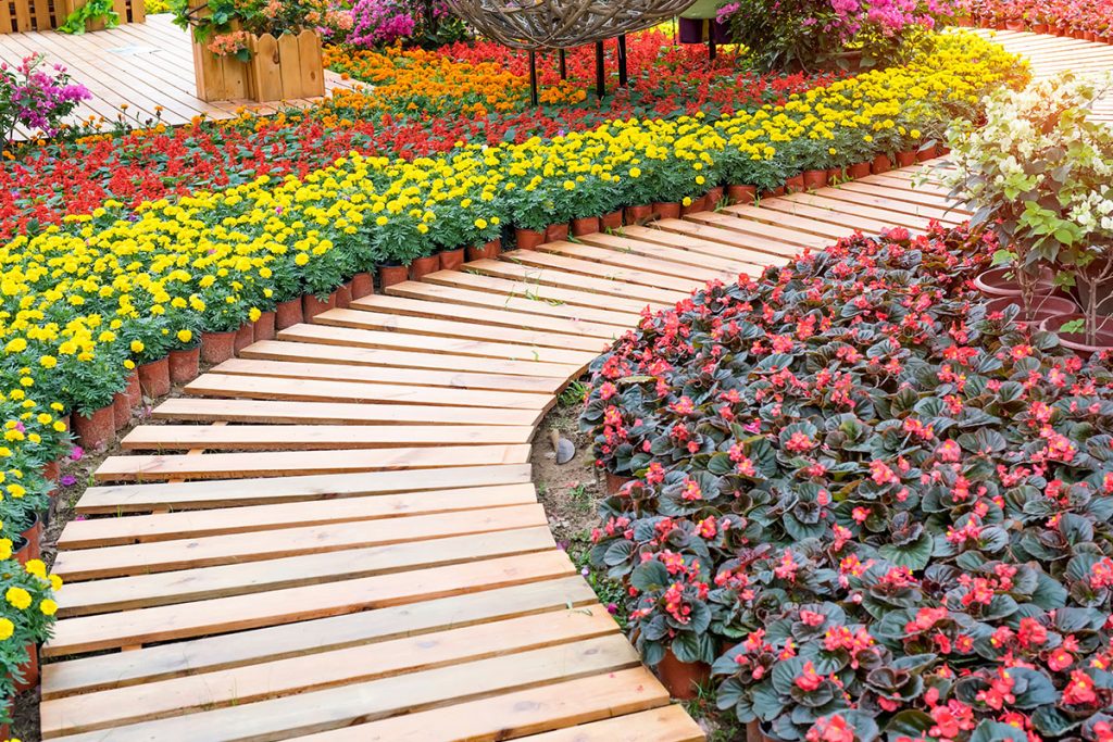 wooden pathway winding in garden with flowers