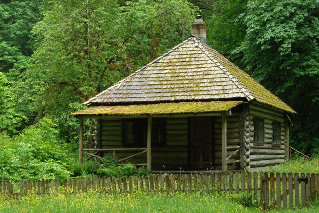 Old Wooden Cabin In The Woods