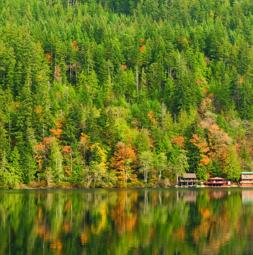 Lake Crescent, Woods in Fall Colors and a Cabin