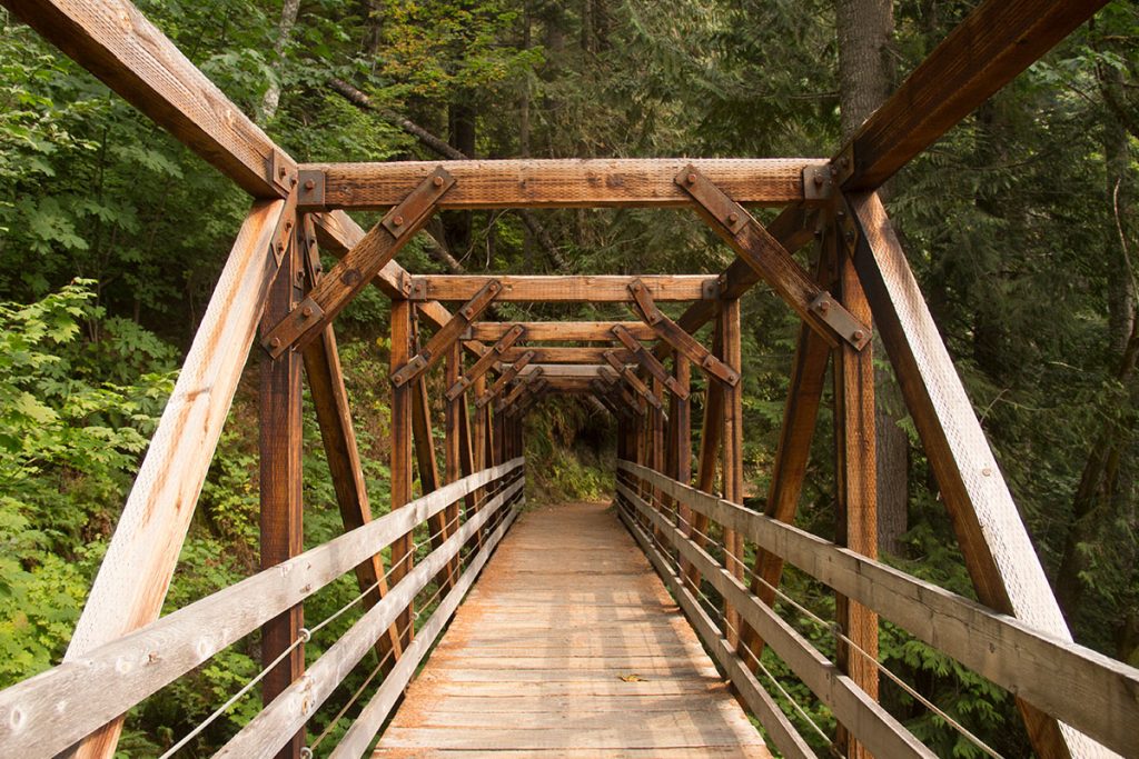 Wooden walking bridge into the forest